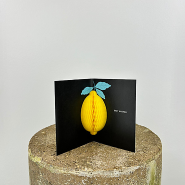 Zest Wishes Pop-Up Card