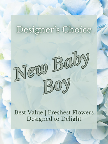 Designer\'s Choice - New Baby Boy