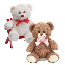 Medium Plush Bear (10\")