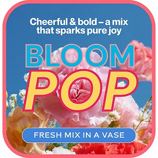 Cheerful & Bold - Designer\'s Choice