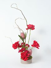 Contemporary Ikebana
