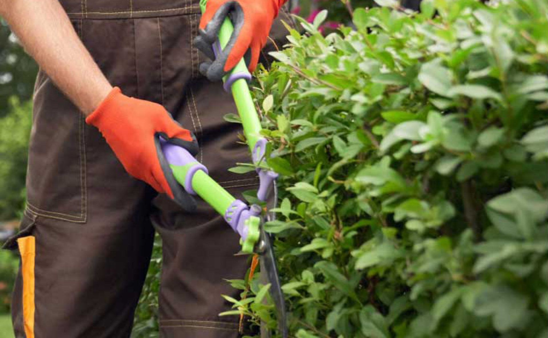 Landscape Maintenance