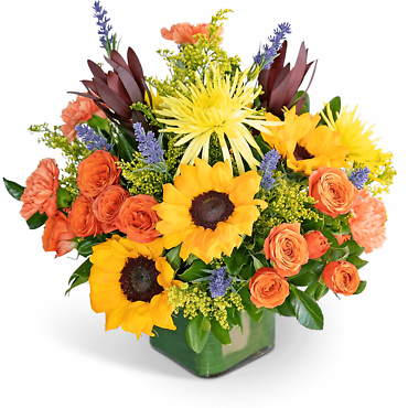 Splendid Abundance