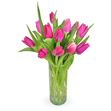 Dozen Tulips