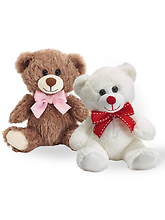 Plush Bear