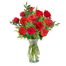 Dozen Long-Stem Roses