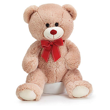 Large Plush Bear (15\")