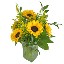 Half Dozen Sunflowers