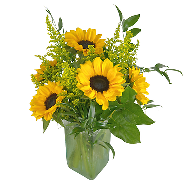 Half Dozen Sunflowers