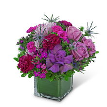 Bohemian Blooms