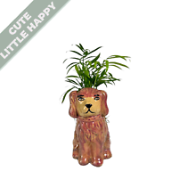 Mini Dog Planter and Plant (2in)