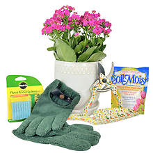 You Grow Girl Gift Set
