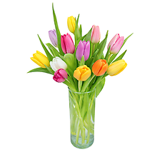 Dozen Tulips