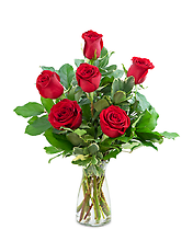 Red Roses (6)
