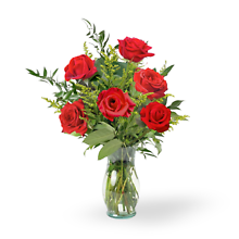 Half Dozen Roses