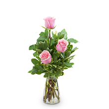 Pink Roses (3)