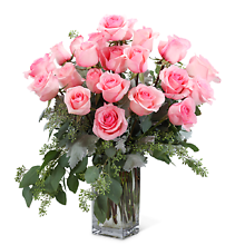 Pink Roses (24)