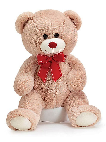 15-inch Plush Bear