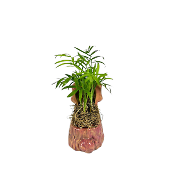 Mini Dog Planter and Plant (2in)