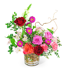 Rose Revival