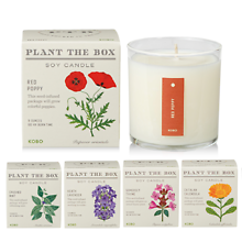 Plant the Box Candle