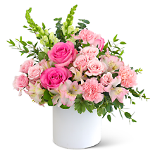 Pink Rose Garden