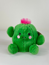 Prickles Cactus Palm Pal