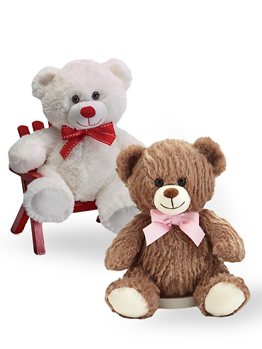 Plush Bear