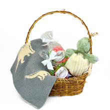 Dino-Mite Dreams Basket