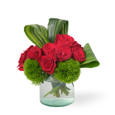 Modern Dozen Roses