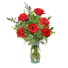 Half Dozen Long-Stem Roses