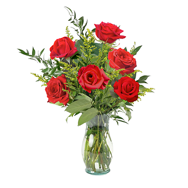 Half Dozen Long-Stem Roses