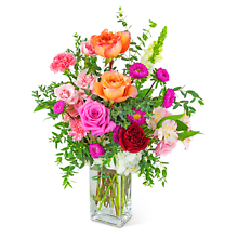 Dreaming of Roses