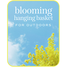 Outdoor Blooming Hanging Basket