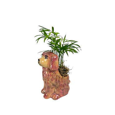 Mini Dog Planter and Plant (2in)