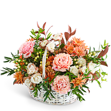 Cappuccino Cascade Basket