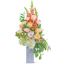 Sorbet Garden