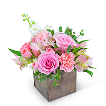 Pink Petal-Pusher