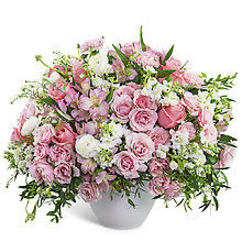 Provence Rose Garden